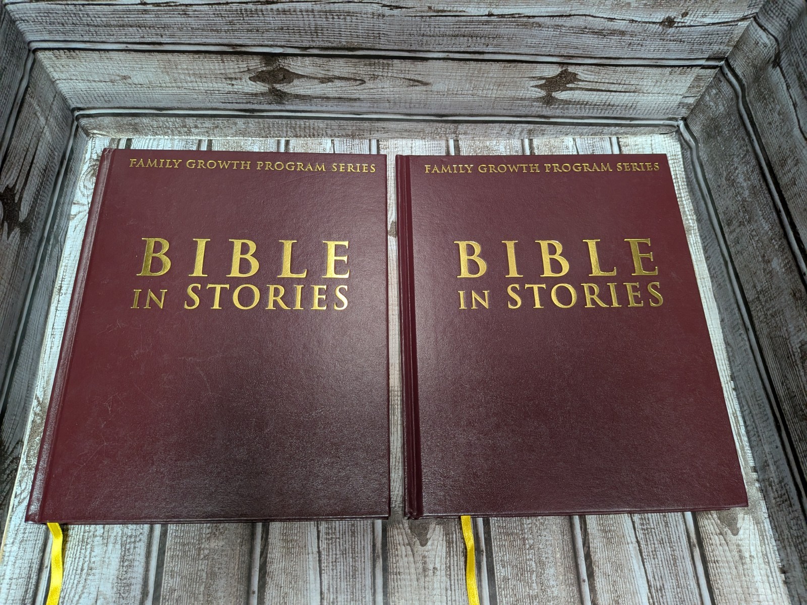 Family Growth Program Series Bible In Stories Vol 1 & 2