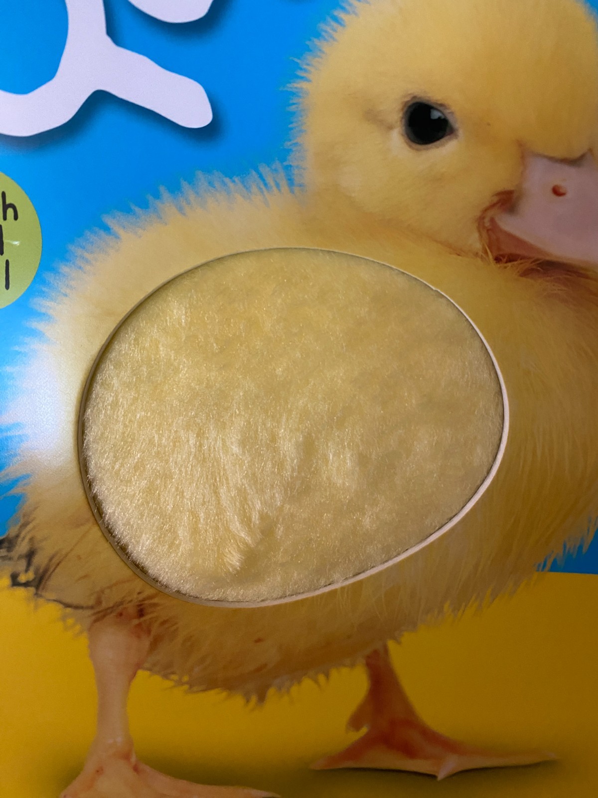 Priddy Books QUACK QUACK Touch and Feel Children’s book