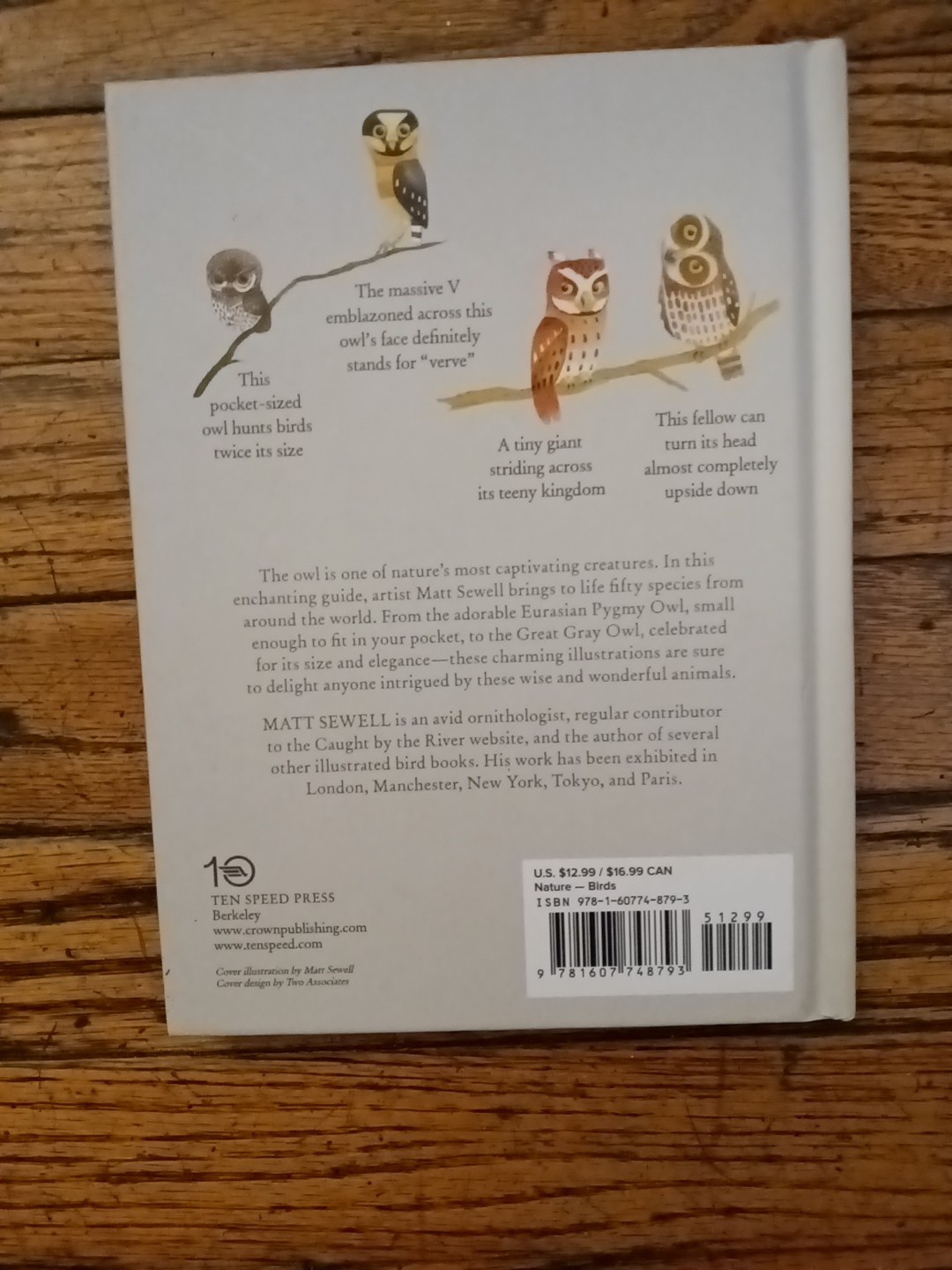 OWLS Our Most Charming Bird by Matt Sewell First Edition HC