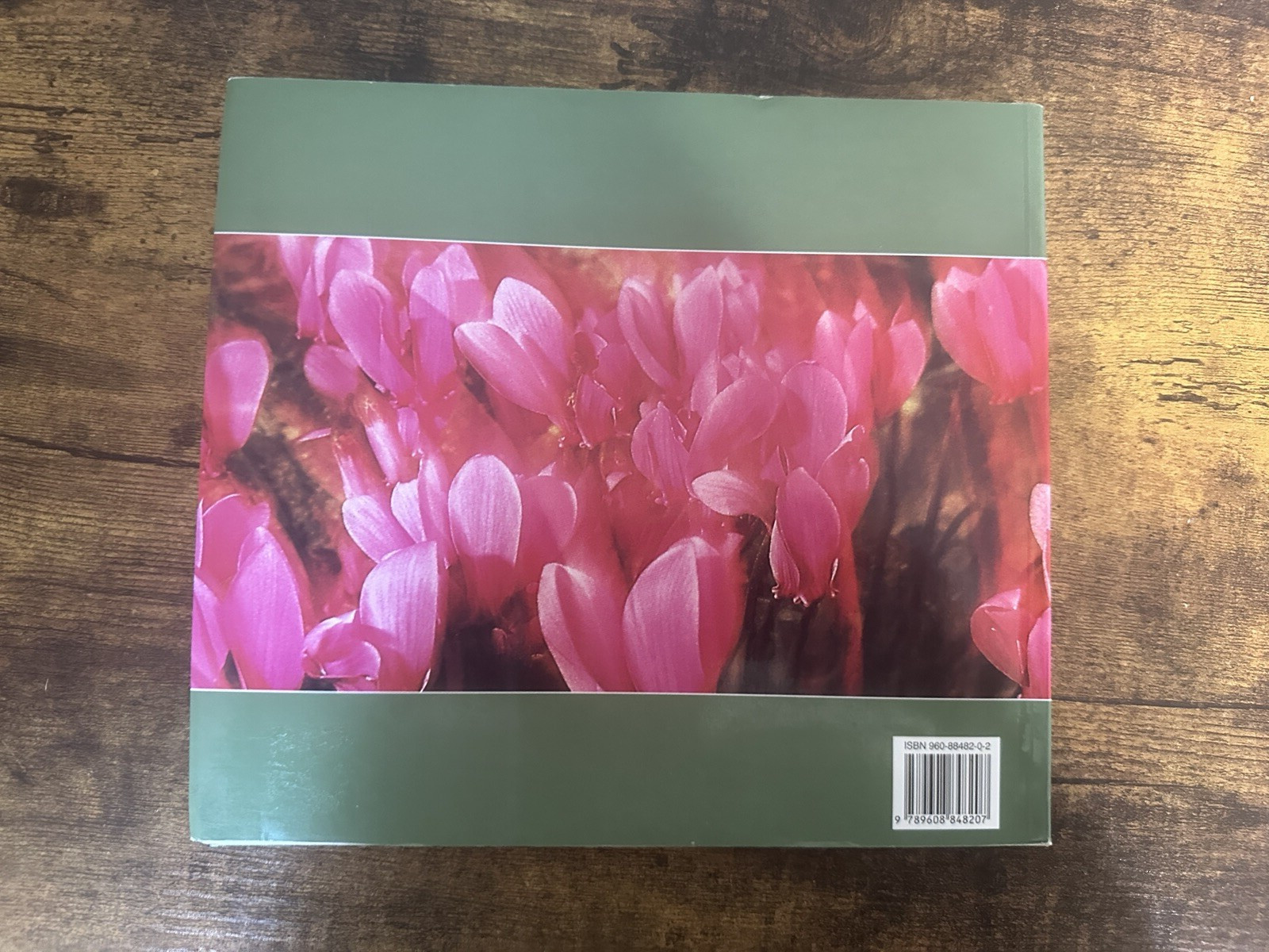Greek and English Nature Pictures by Andrea Bonetti – 129 pages Read details