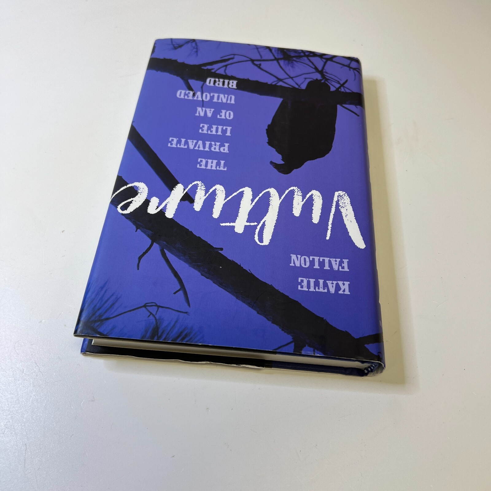 Vulture The Private Life of an Unloved Bird Hardcover Katie Fal