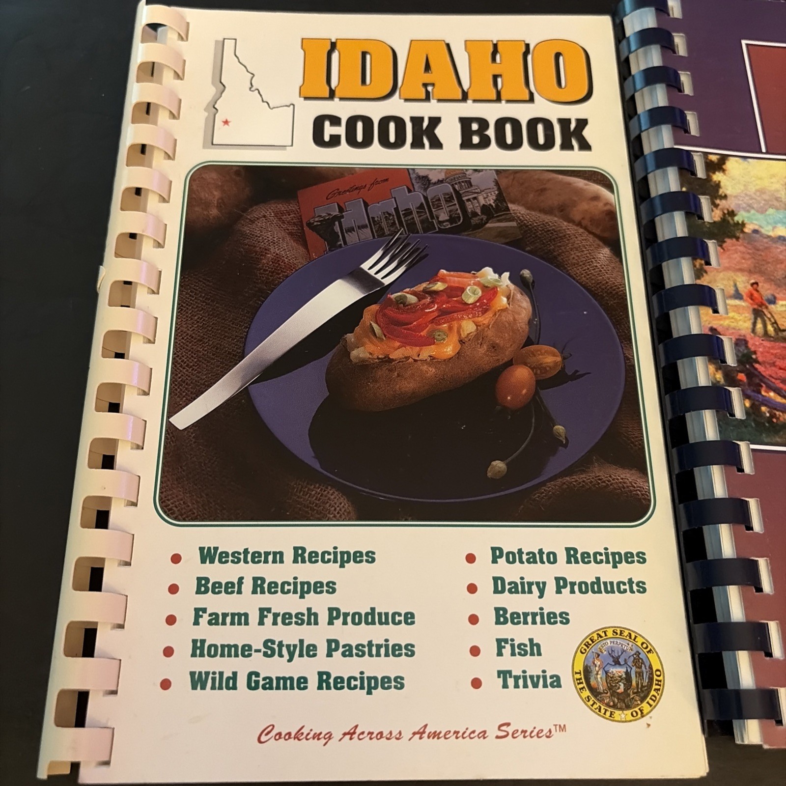 Lot Of 2 Vintage Cookbooks