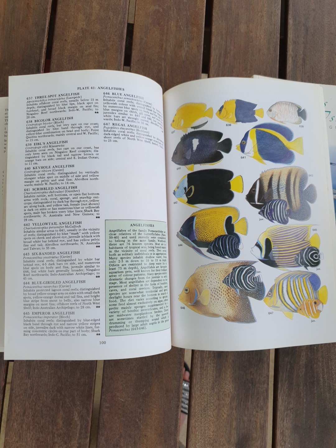 Marine Fishes of North-Western Australia Gerald R Allen 1988 Superior Plates