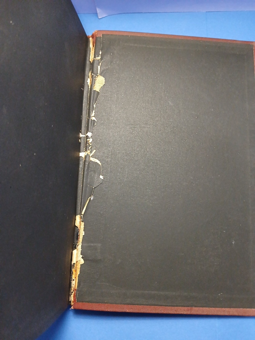The Life and Times of Niccolo Machiavelli Vol. 2 Book 1891 Volume II Padquale