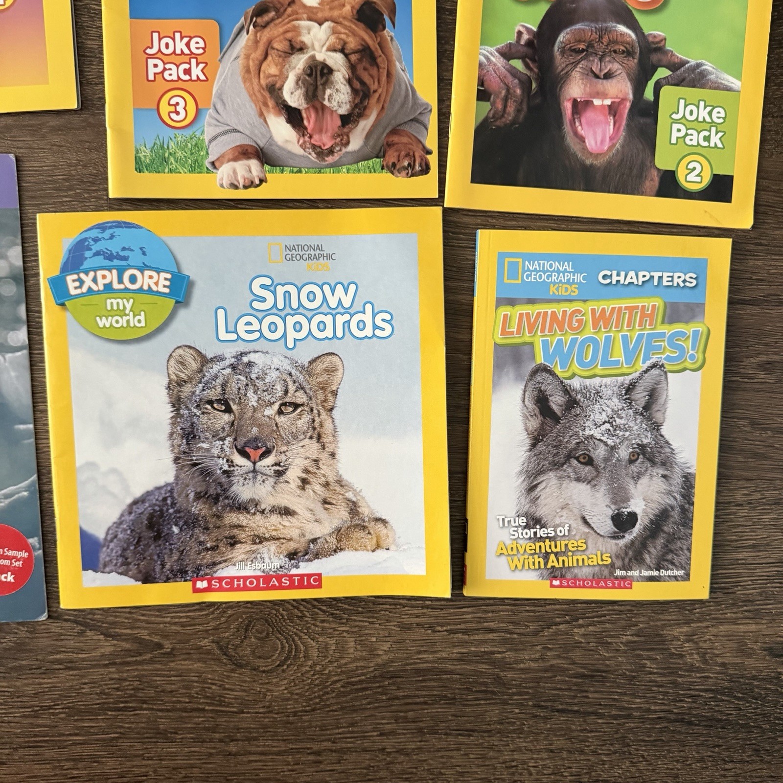 National Geographic Kids Reader Lot 17 Sharks Wolves Dolphins Polar Bears