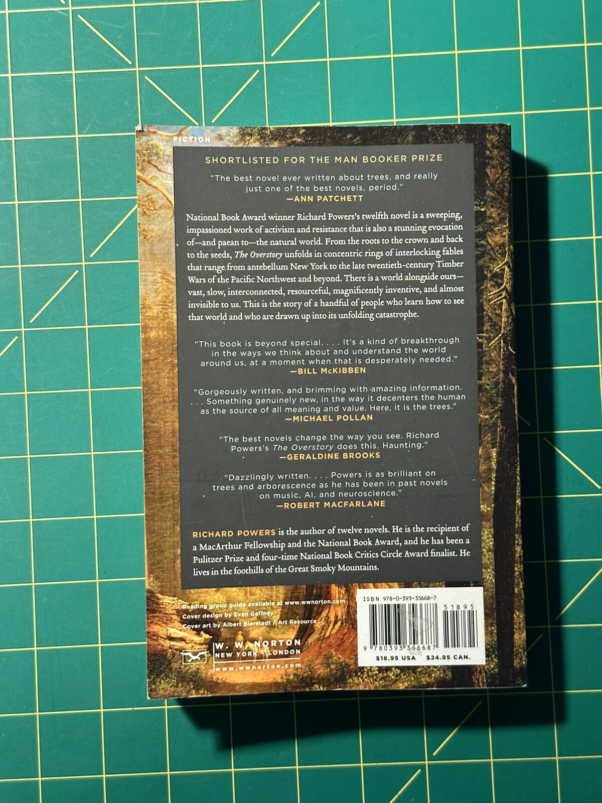 The Overstory by Richard Powers