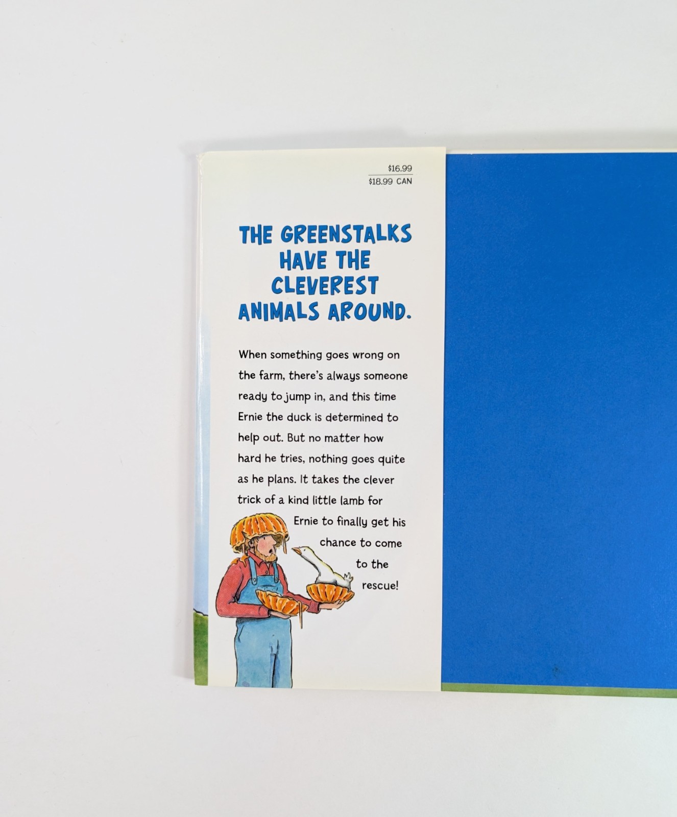 Duck To The Rescue John Himmelman Hardcover Book With Dust Jacket Kids Book