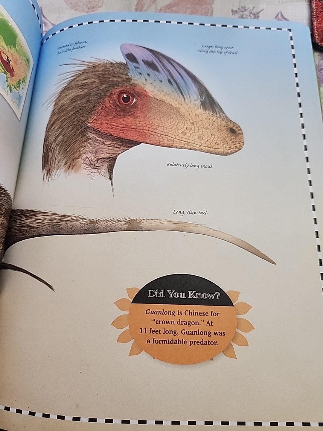 Jurassic Animal Encyclopedia Activity Journal Includes Stickers and Poster