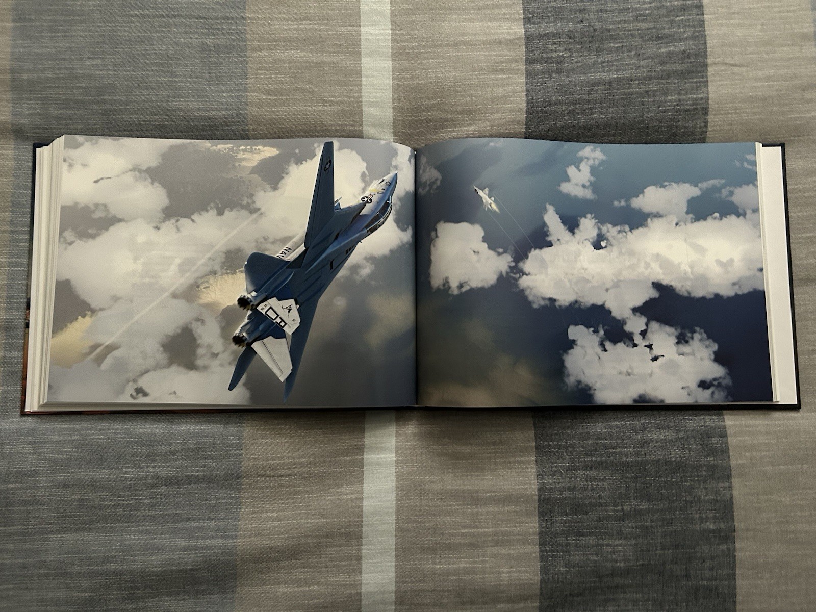 Half Century, Baby Fifty Years Of The Grumman F-14 Tomcat Parsons Bangso