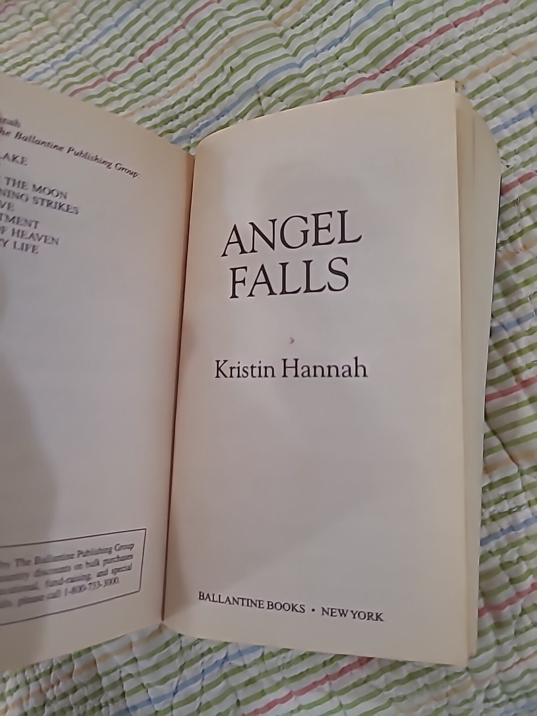 Angel Falls: A Novel Paperback Kristin Hannah