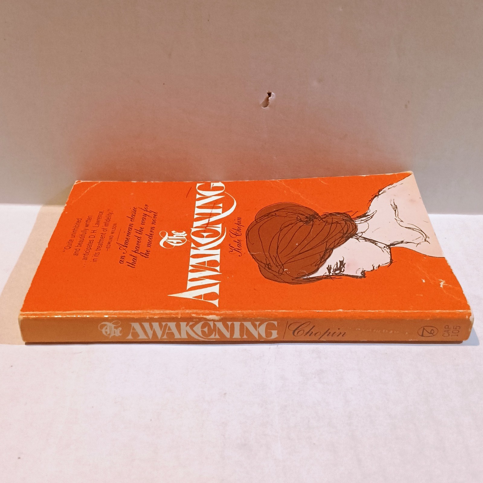 The Awakening-Kate Chopin-Capricorn Books-1964-Early Feminist Literature