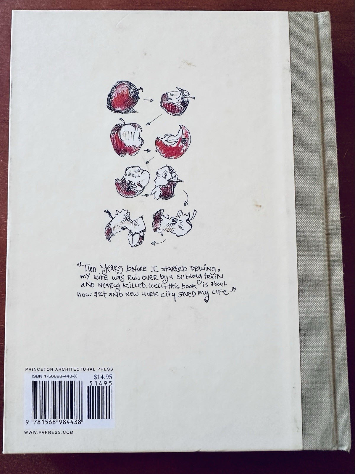 EVERYDAY MATTERS : A New York Diary by Danny Gregory Hardcover (1E/1P)