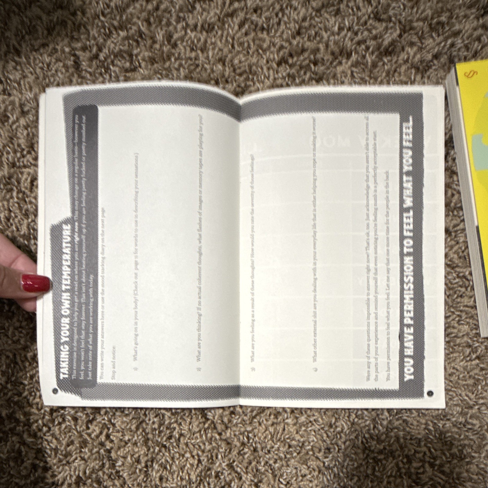 Faith G. Harper Unfuck Your Brain Workbook PB 2017 Mental Health Personal Growth