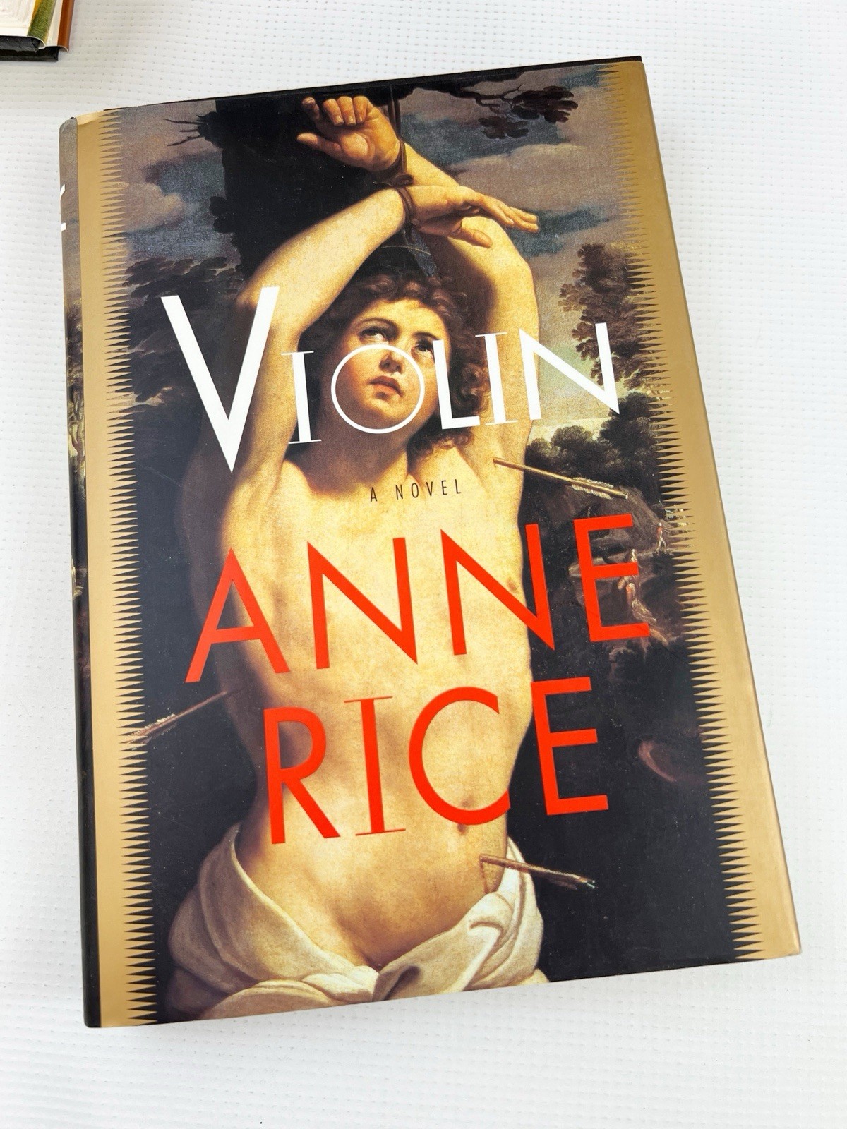 Anne Rice Hardcover Book Lot Vampire Others Most First Editions Collection Of 8