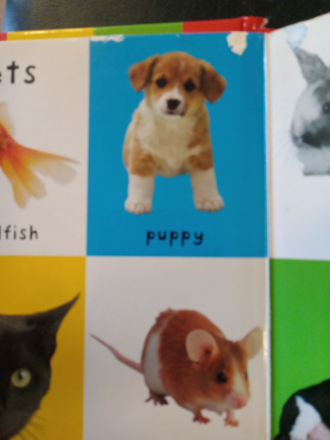 First 100 Animals Board book Pre-owned Inside Spine Damage