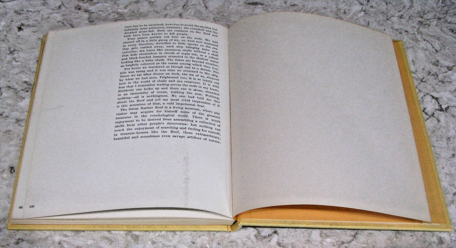 Shells by Roderick Cameron, octopus Books, 1972, 143 Illustrations, HB