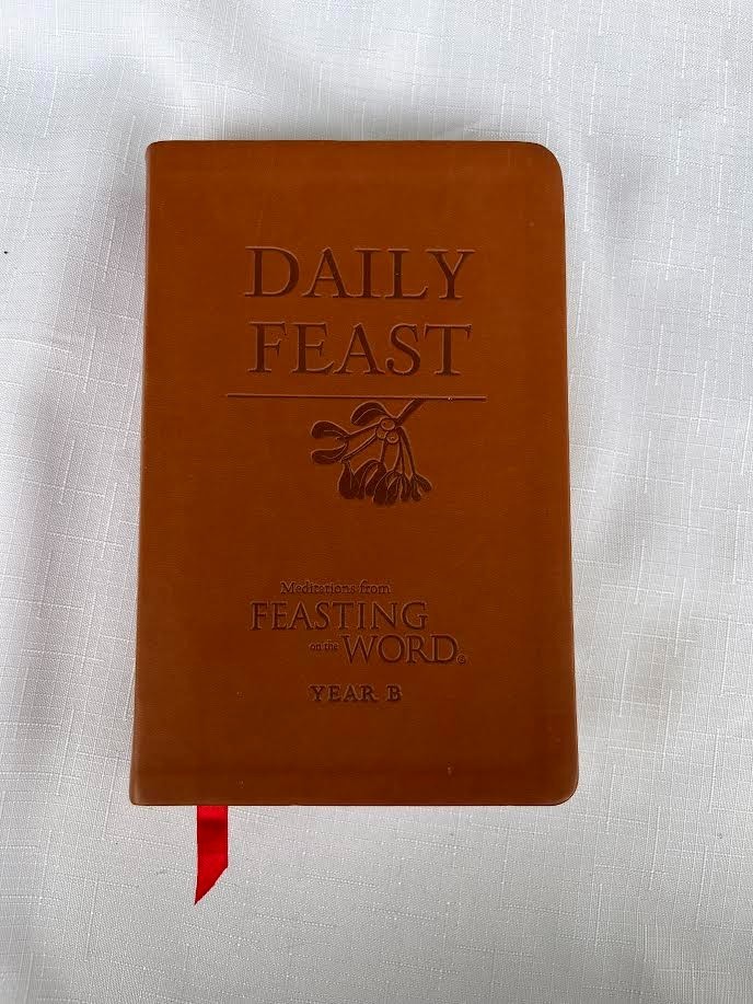 Daily Feast : Meditations from Feasting on the Word (Years A, B and C together)