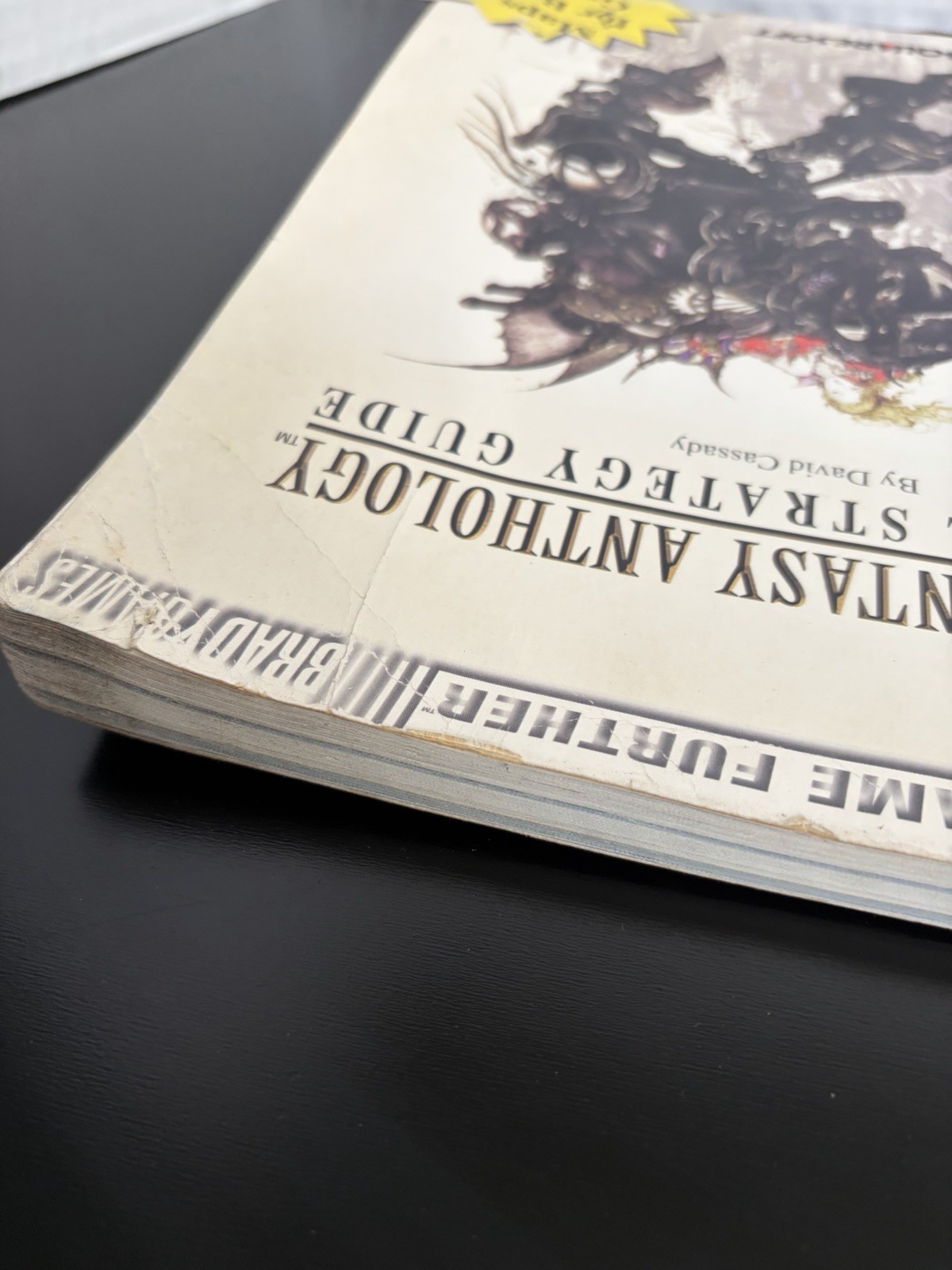 Final Fantasy Anthology Walkthrough Brady Games Strategy Guide Water Damage