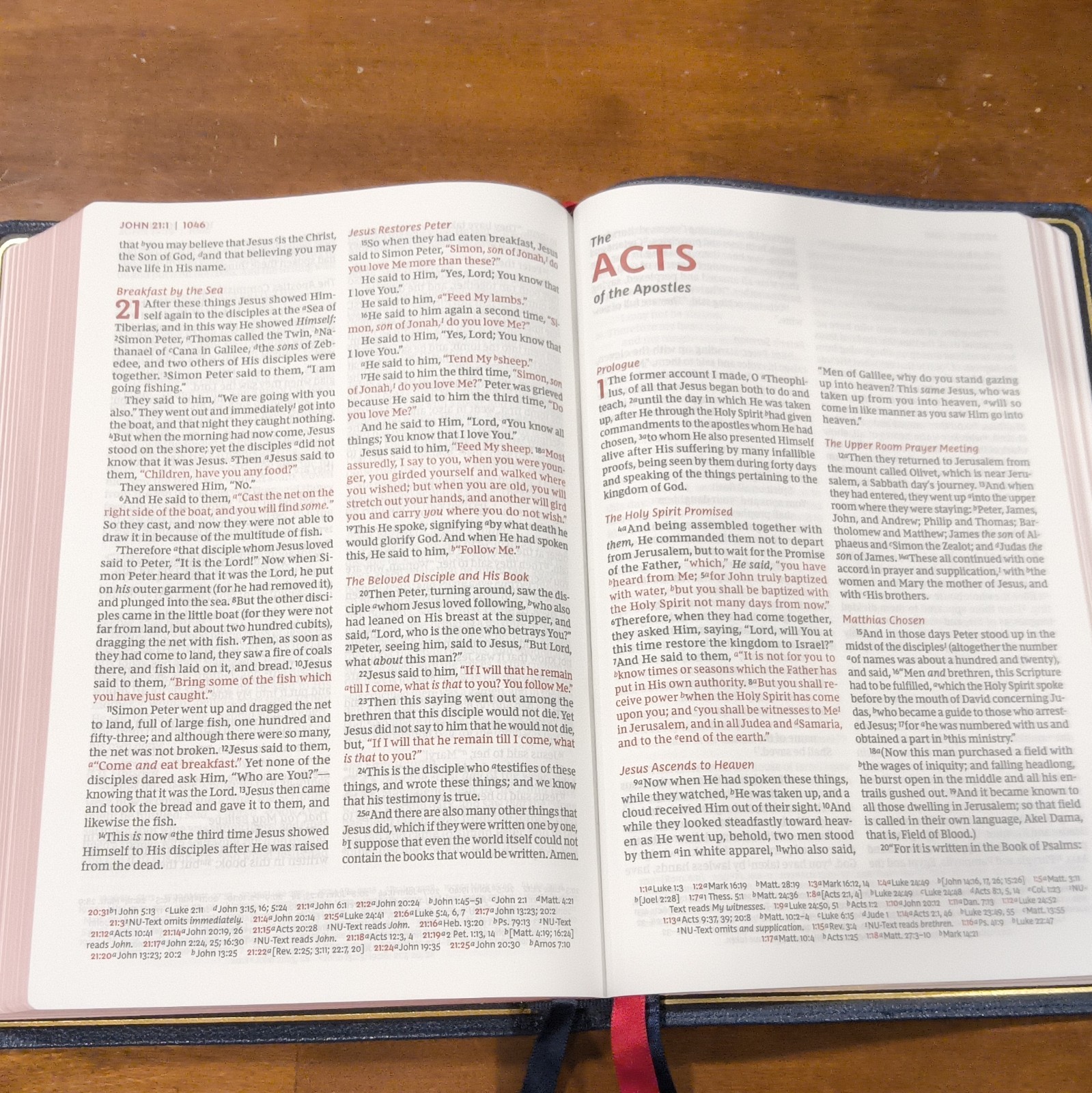 Thomas Nelson NKJV Large Print Thinline Reference Bible Premier Collection Ltd