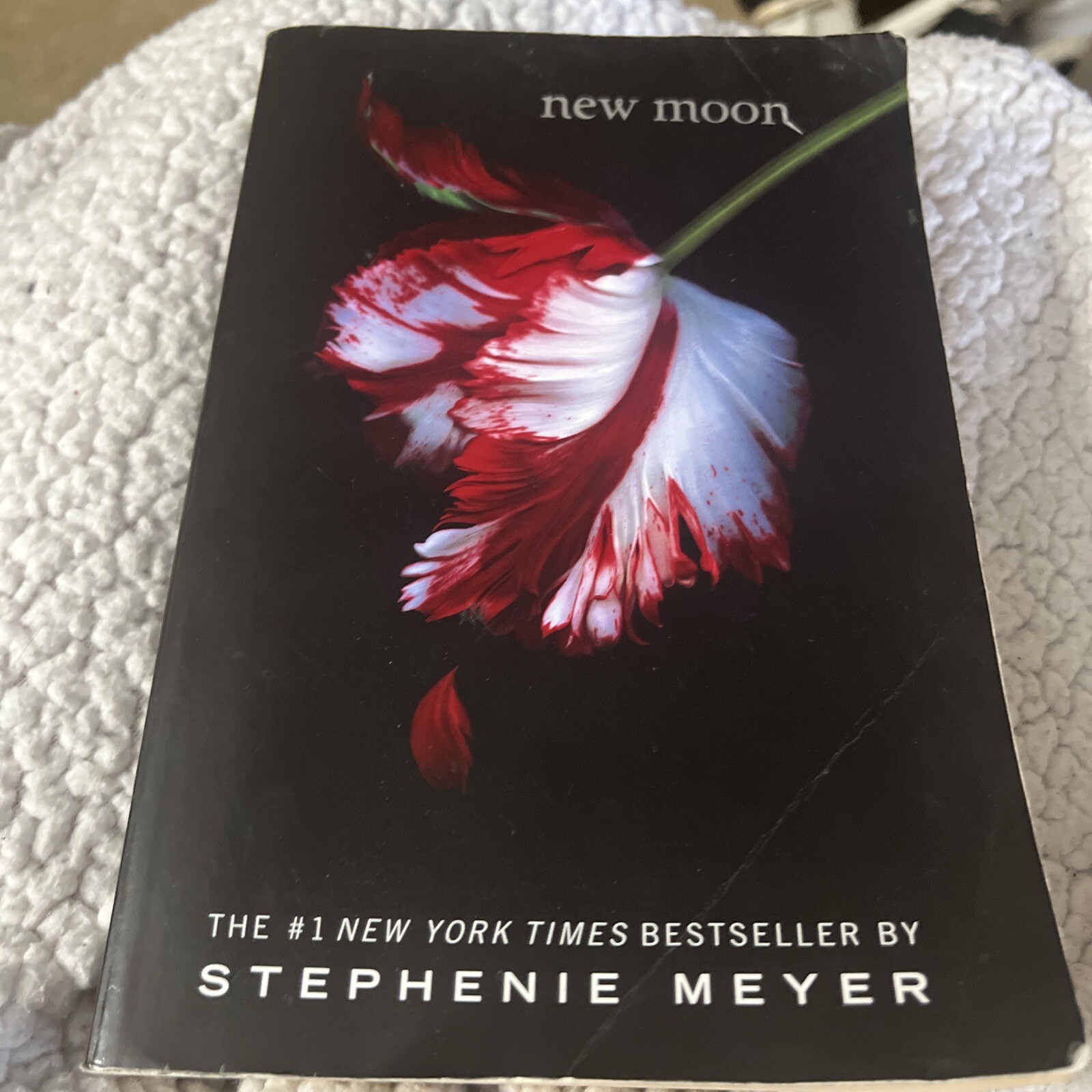 1st Ed! Twilight Saga New Moon by Stephenie Meyer 2008 First Trade Paperback Ed