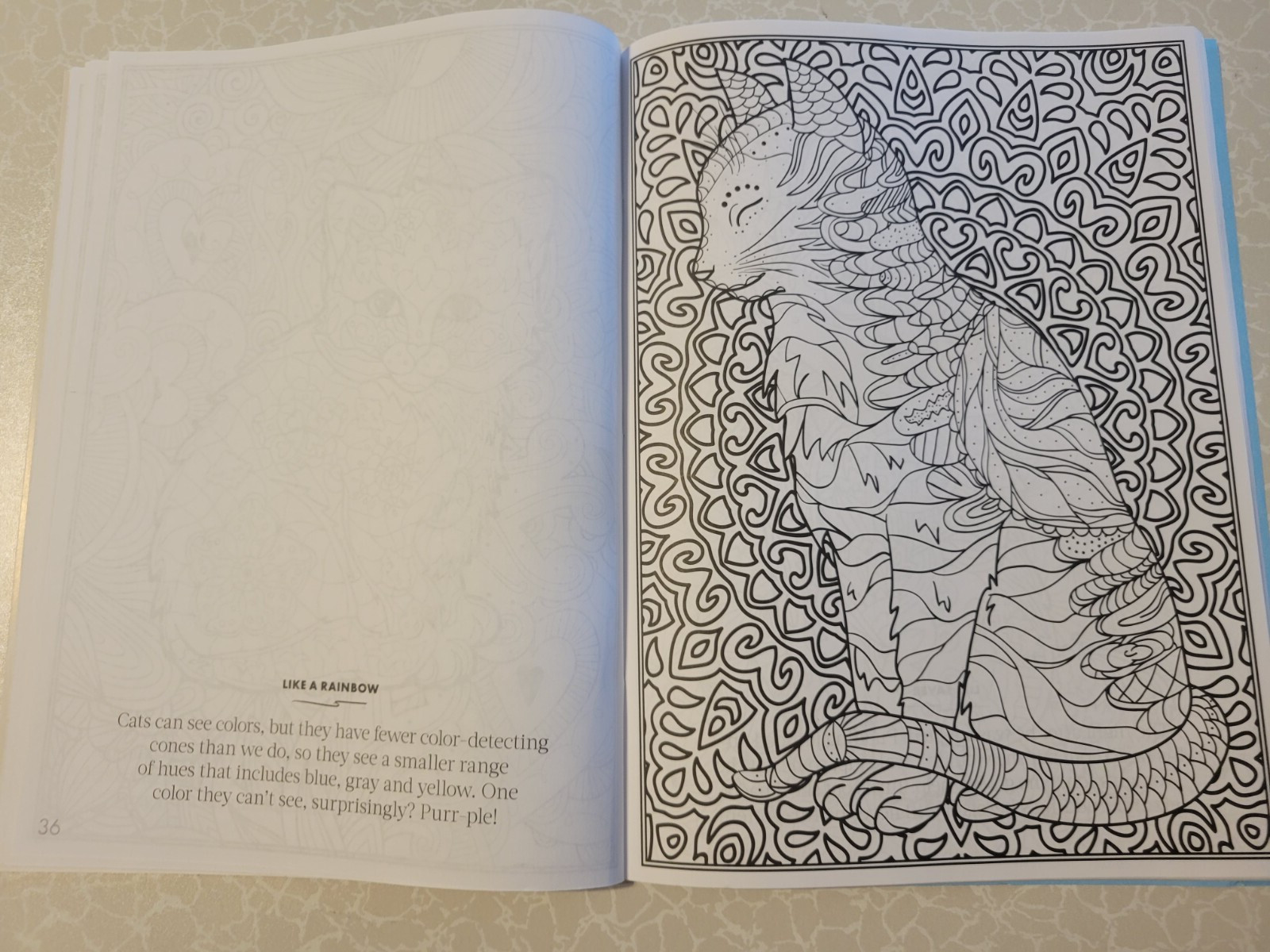 CAT COLORING – 32 Inspiring Designs for Adults -Relax & Enjoy -Escape & Breathe