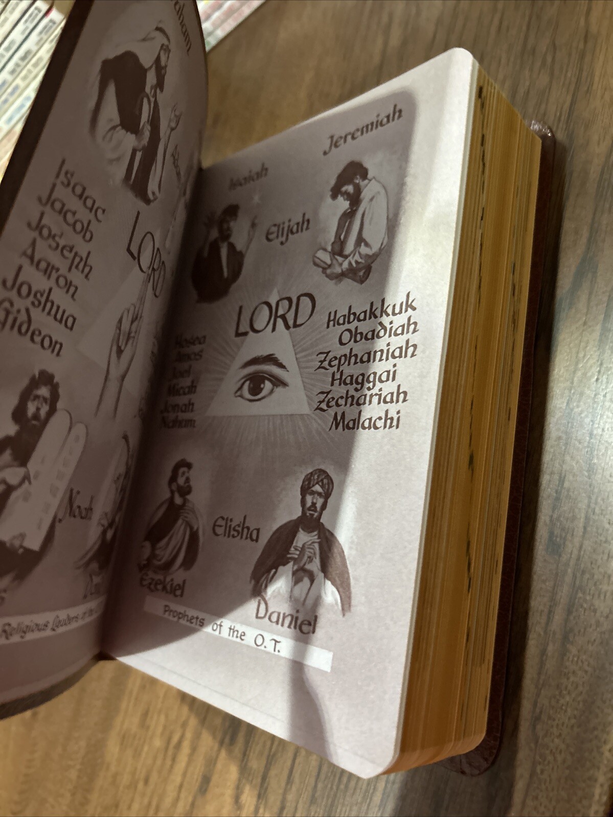 Brand NEW American Bible St. Joseph Ed. Illustrated Medium Leather Bound (1992)
