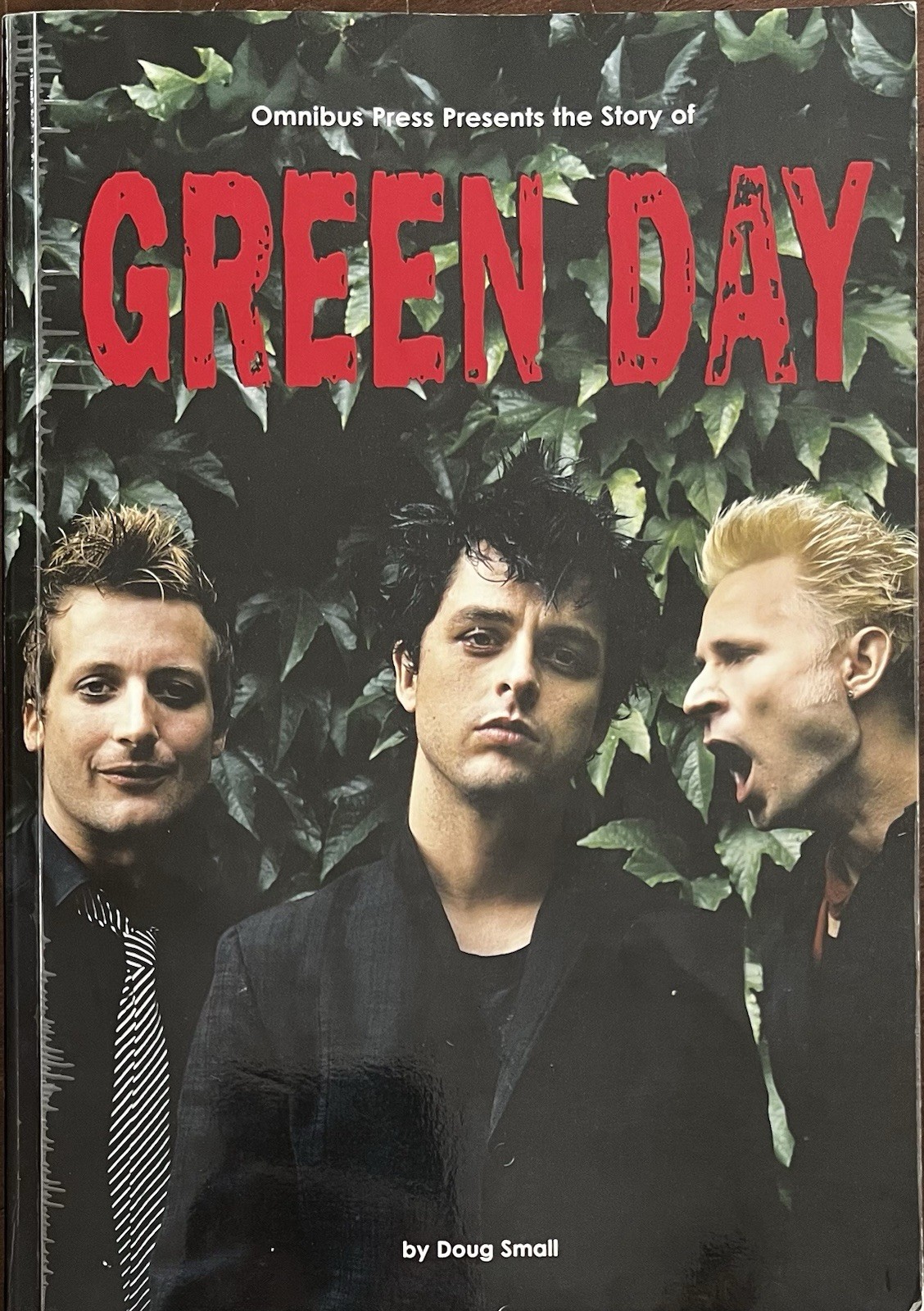 Green Day by Doug Small (2005, Trade Paperback, Omnibus Press)