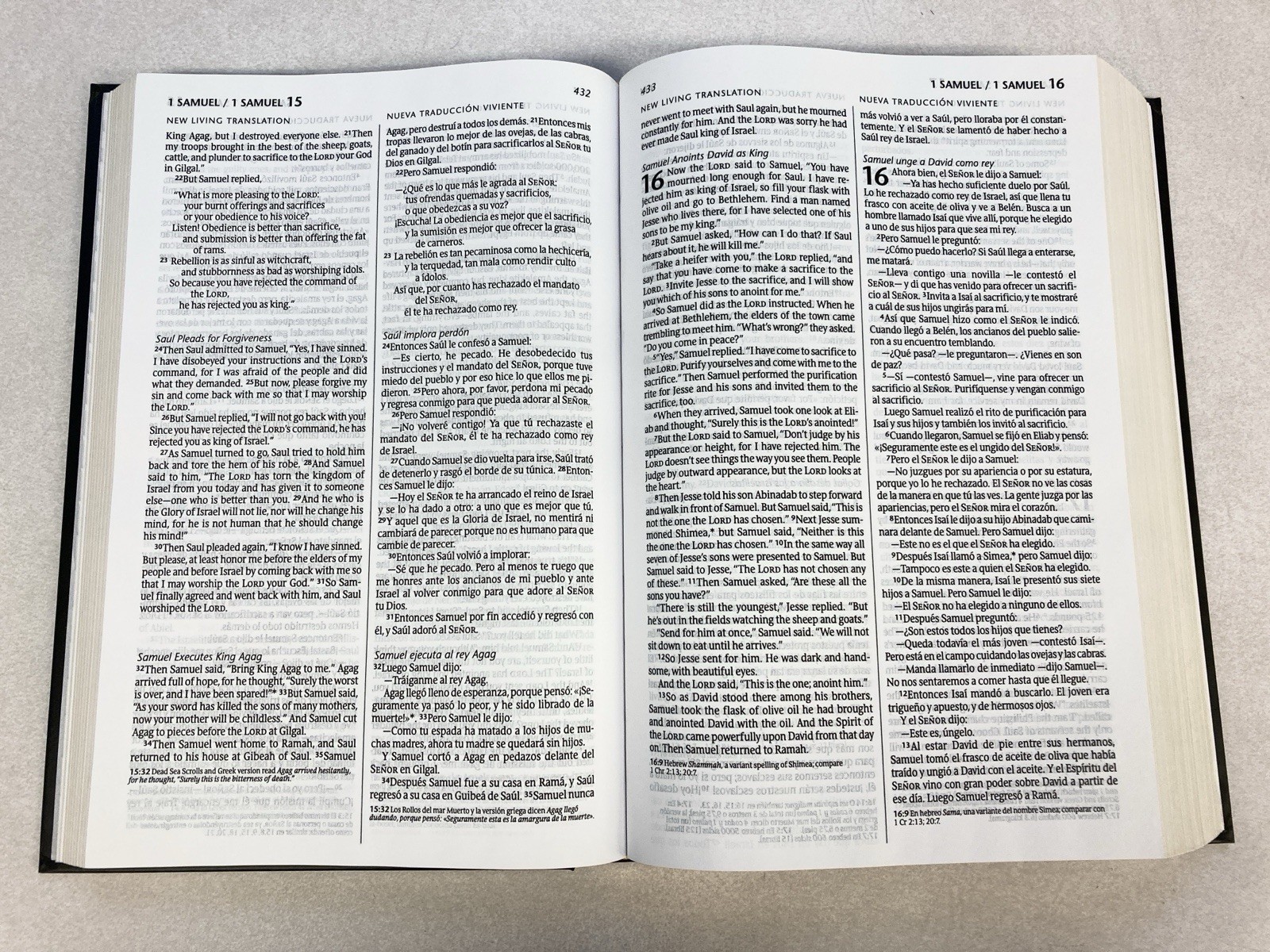 Holy Bible / Santa Biblia English-Spanish Bilingual Bilingue Bible NLT/NTV