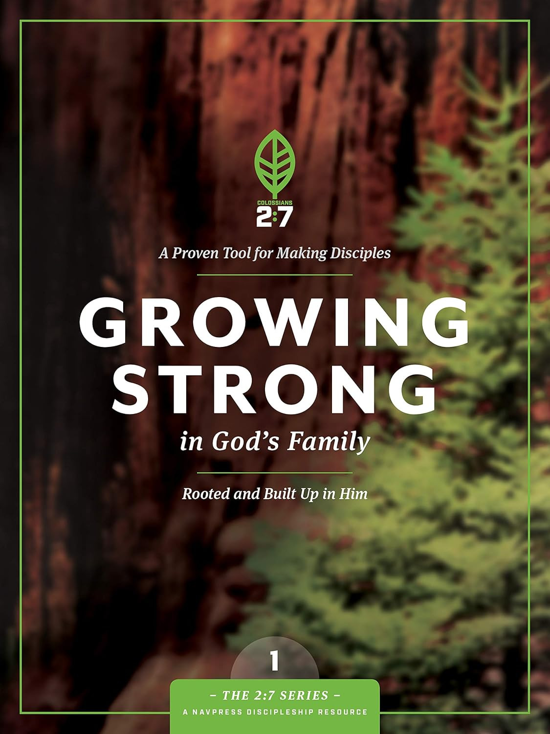 Strengthen Your Faith: Rooted in God’s Family (The 2:7 Series)