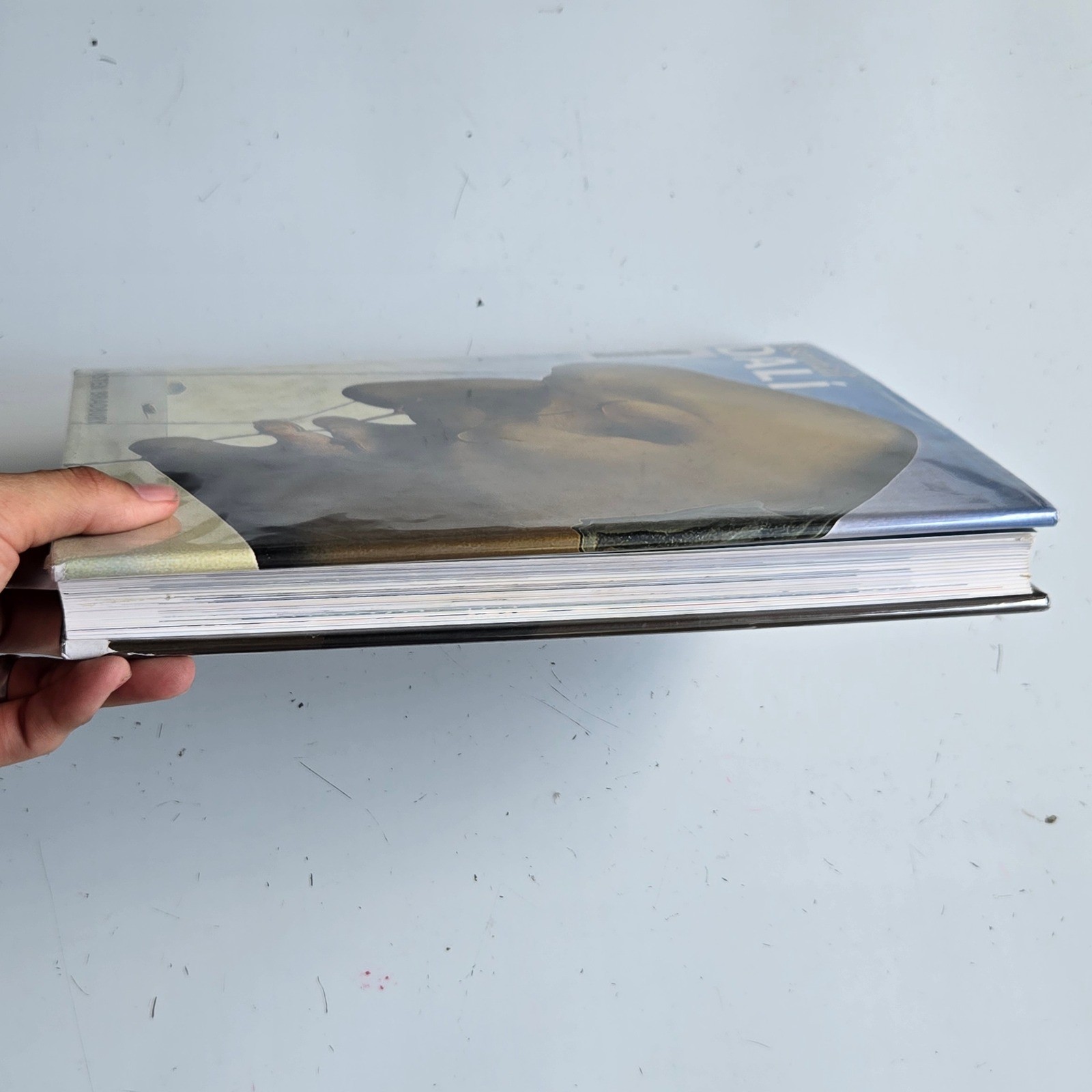 Essential Dali Hardcover Book Kirsten Bradbury Salvador Dali Art History 2000