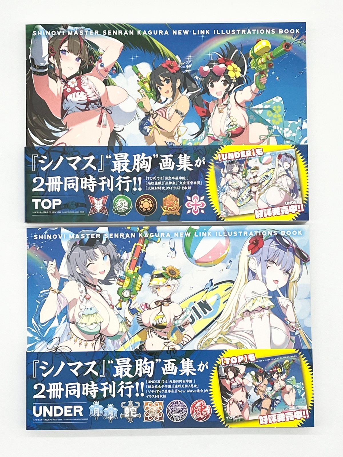 Shinobi Master Senran Kagura New Link Illustrations Book Vol 1-2 Japanese Text