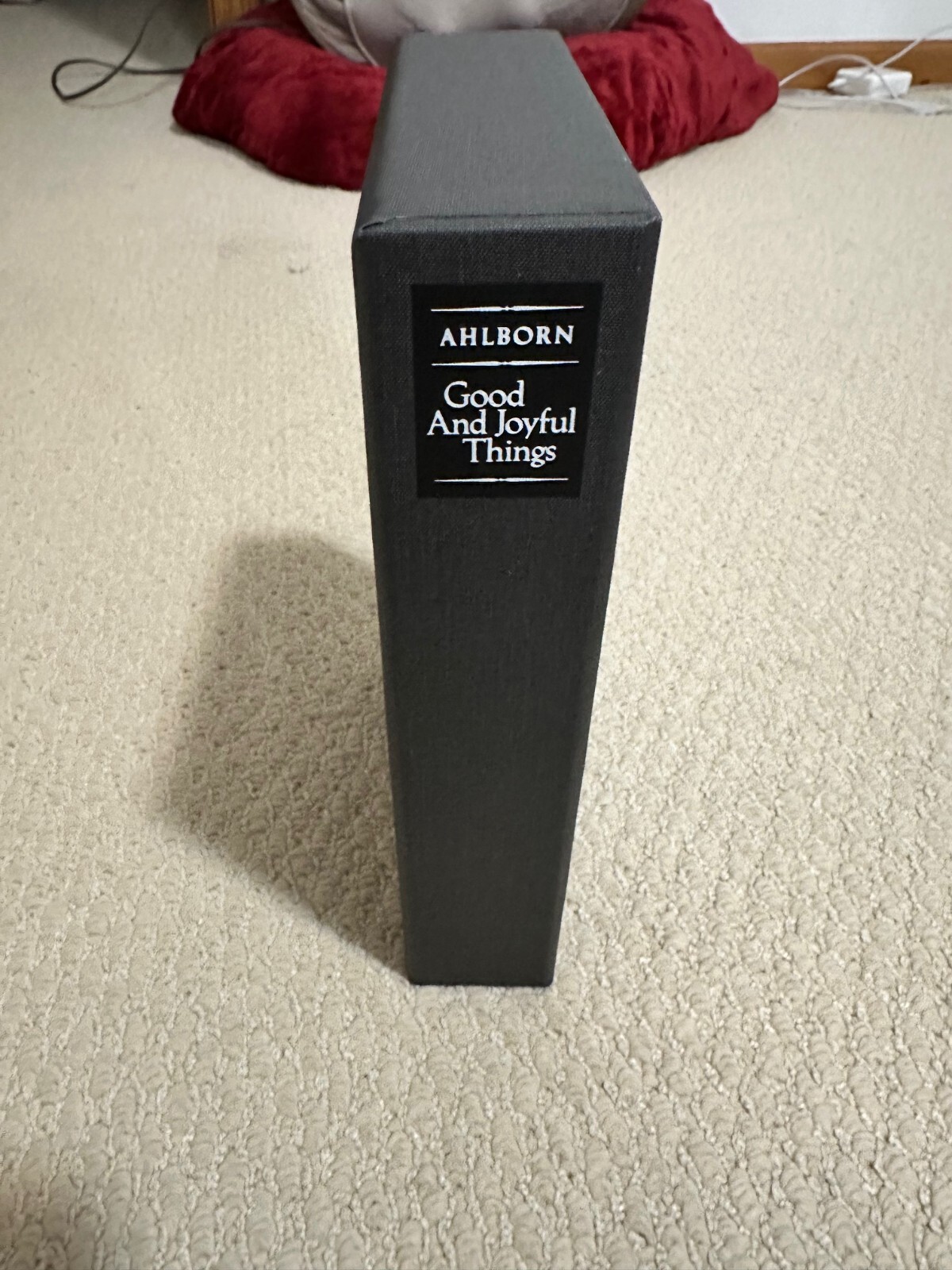 Suntup Artist Edition Signed Ania Ahlborn GOOD & JOYFUL THINGS Like New Unread.