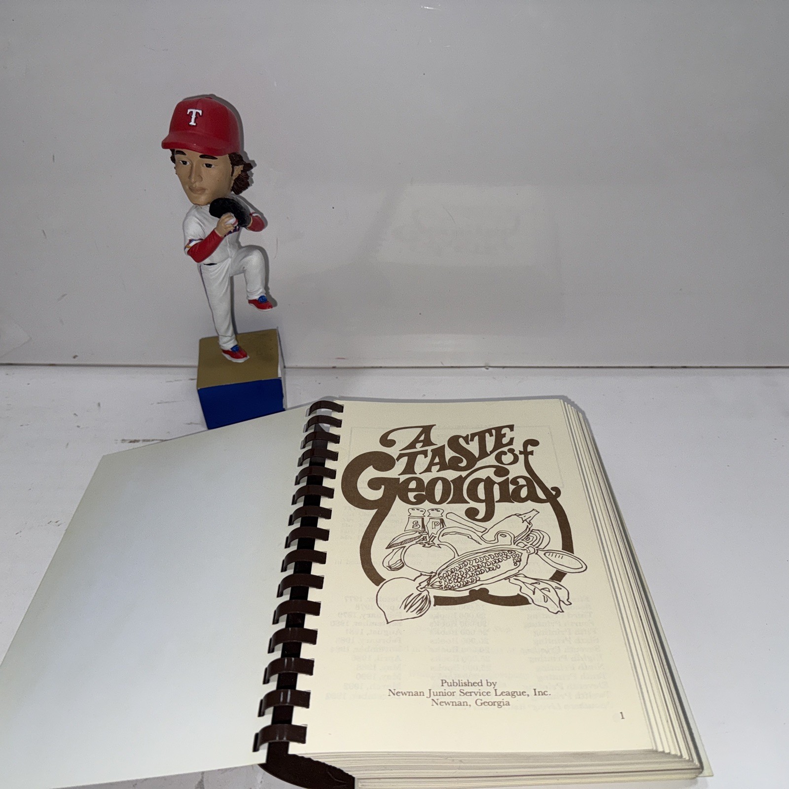 A TASTE OF GEORGIA 1994 Newman Junior Service League COOKBOOK Recipes