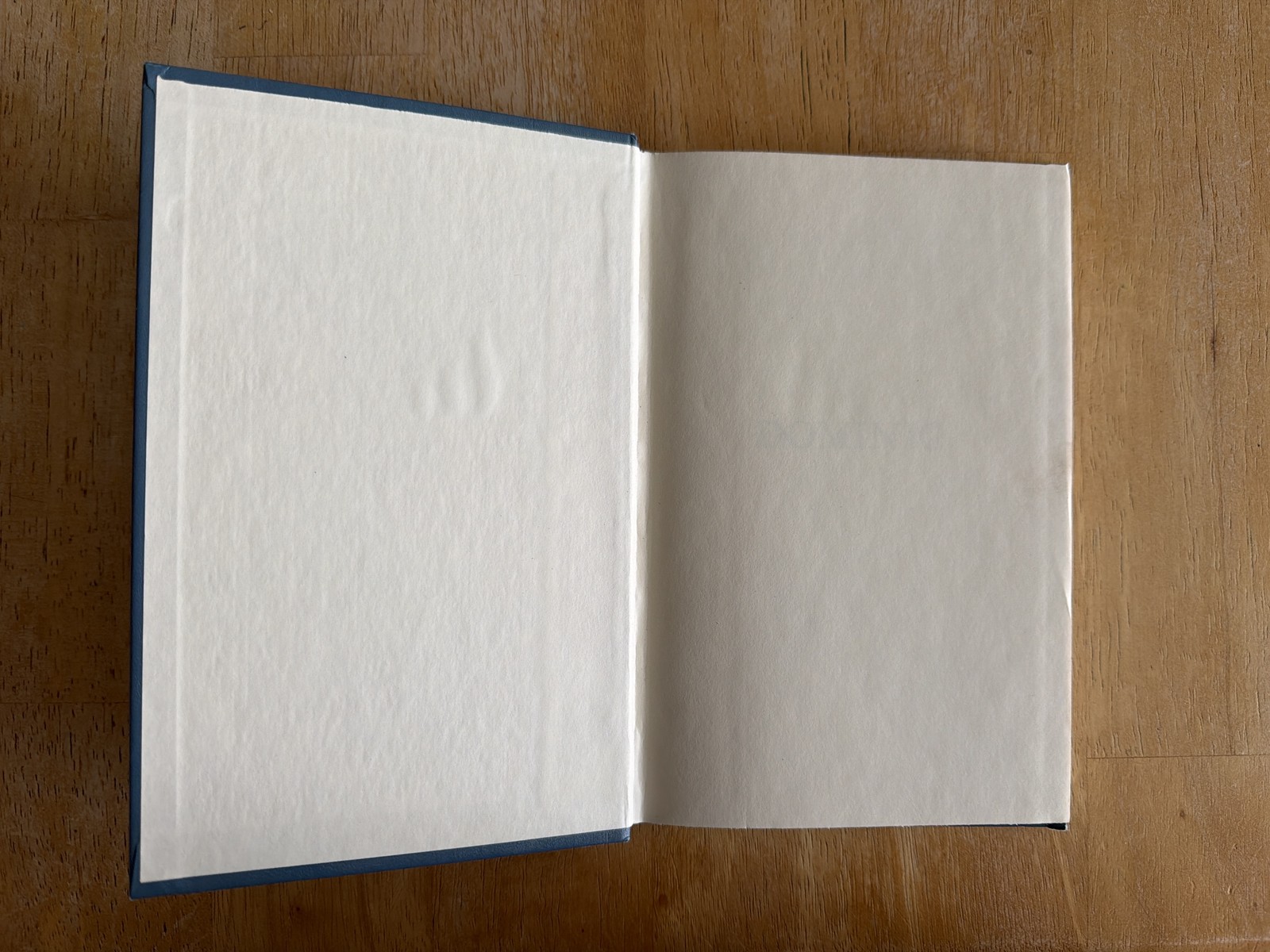 Dominic by William Steig 1972, Hardcover, Vintage 70s Children’s Book,