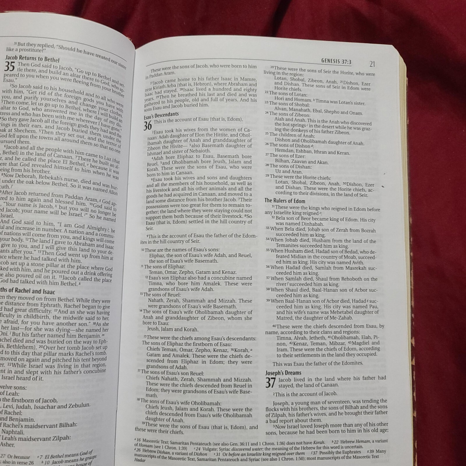 Zondervan New International Version NIV LeatherSoft Holy Bible