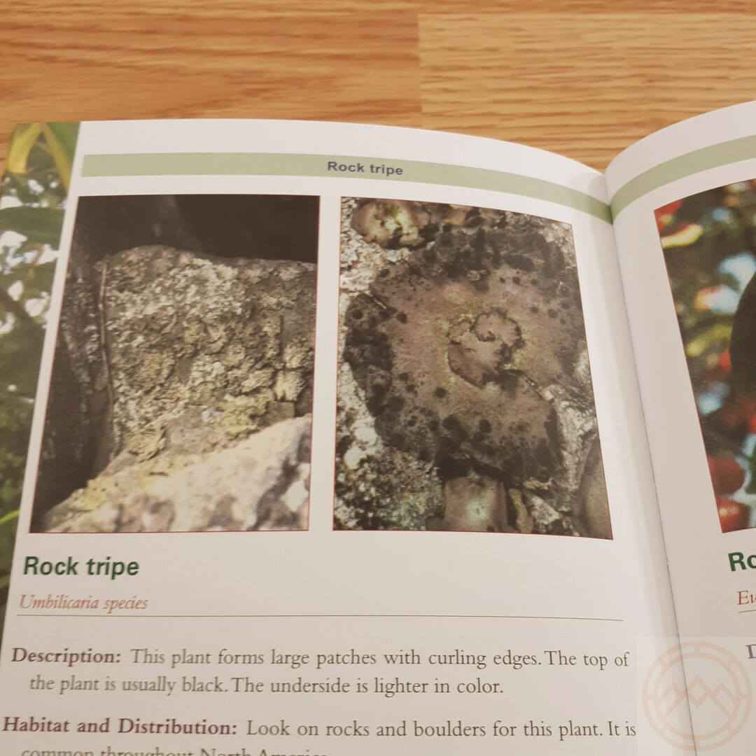 Complete Guide to Edible Plants Book Army Dept Medicine Poison Color Photos