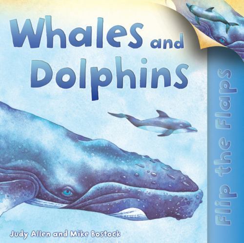 Flip The Flaps: Whales and Dolphins by Allen, Judy