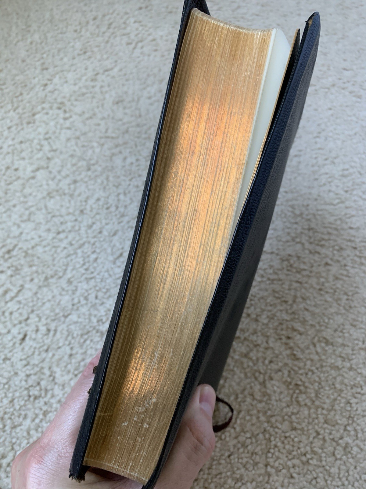The Amplified Bible AMPC – 1965 Edition 4th Printing – Zondervan Leather