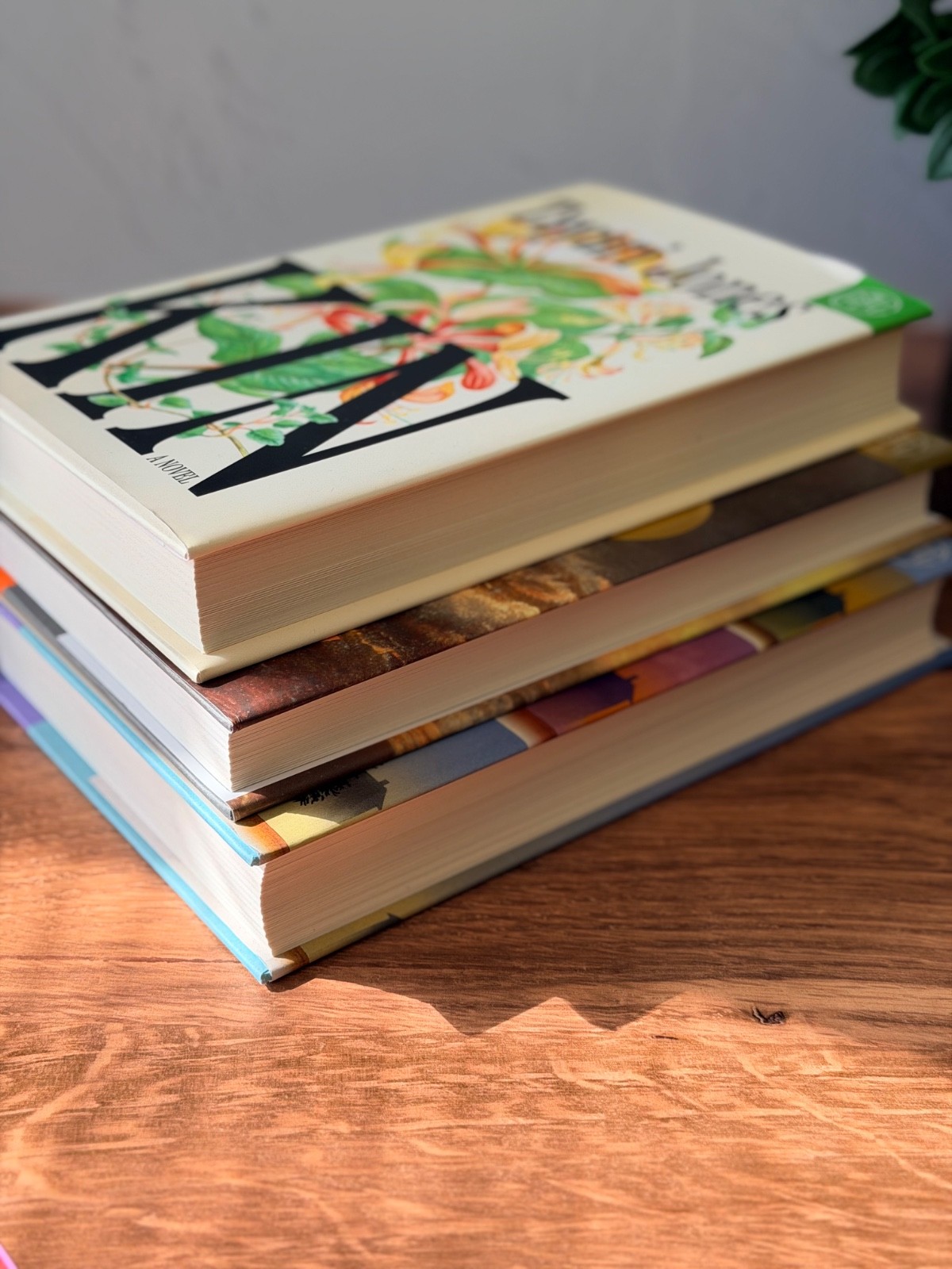 Book of the Month Hardcover Bundle 3 Literary Fiction Jones McConaghy Ryan