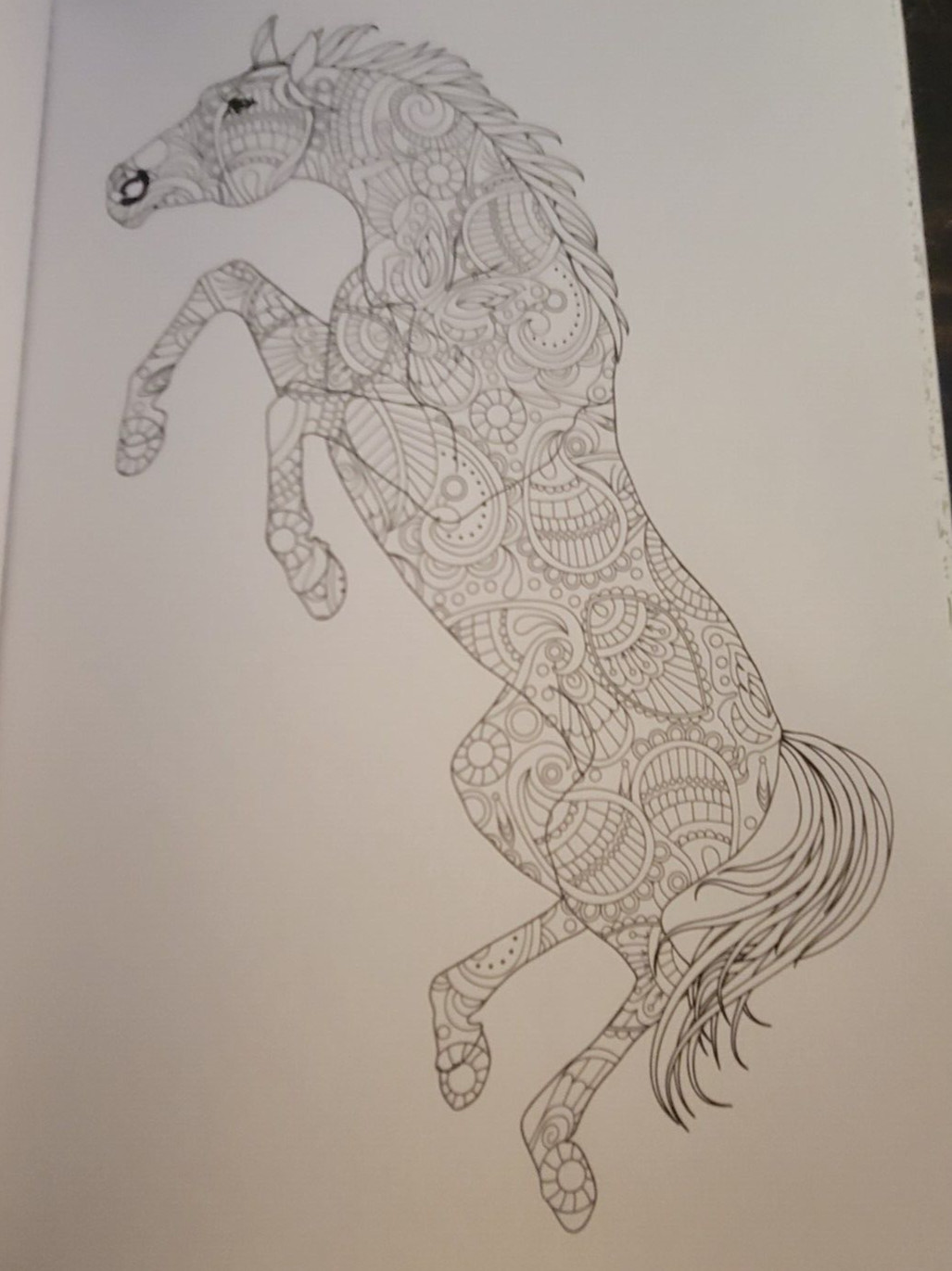 MAJESTIC CREATURES Vol 12 Adult Coloring Book With 47 Prints Ready To Frame