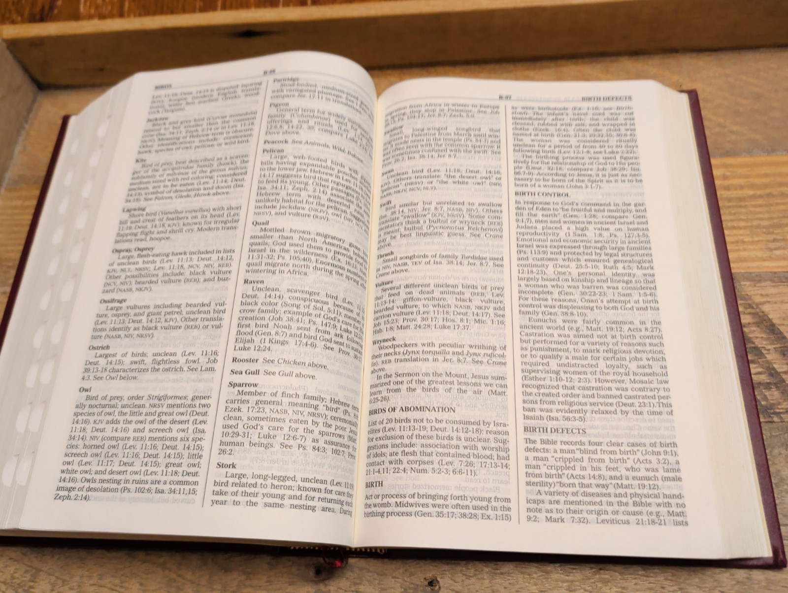 VG! KJV Master Study Bible Burgundy Padded HC Thumb Indexed 1k pages Study Helps