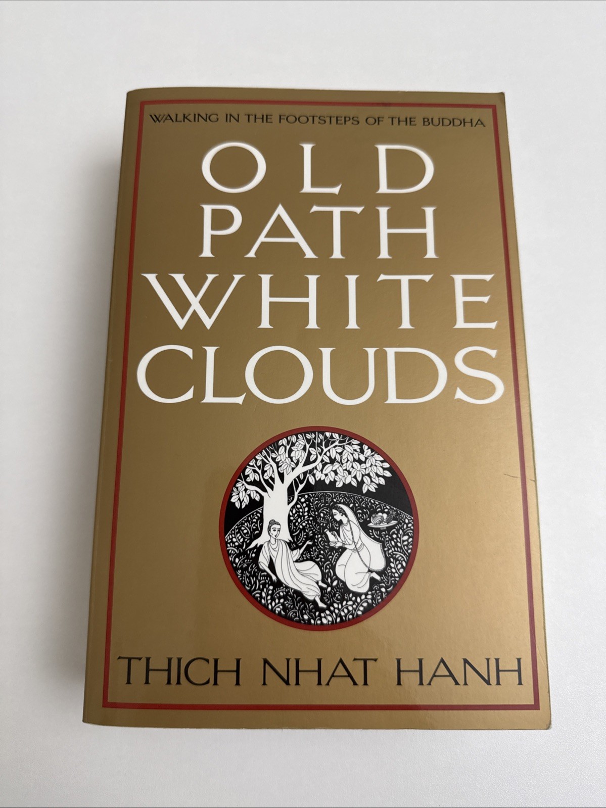 Old Path White Clouds : Walking in the Footsteps of the Buddha – PB