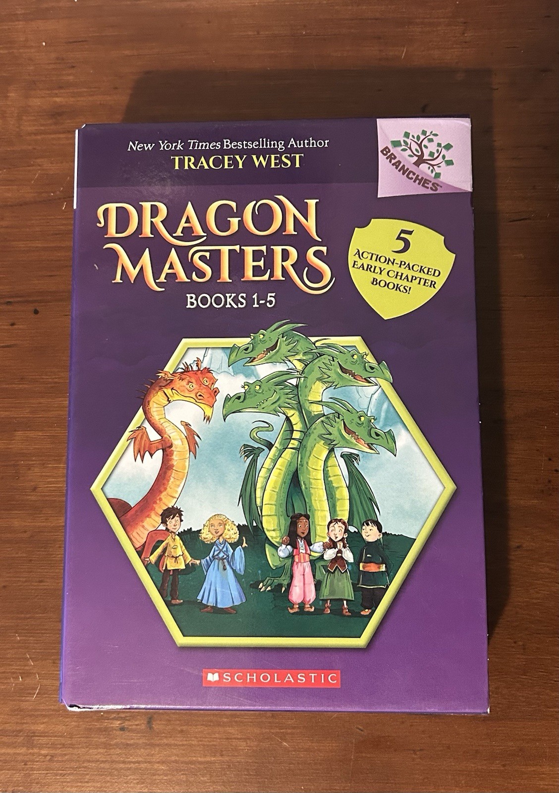 Dragon Masters Books 3,4,5,7 Branches Early Chapter Books Tracey West