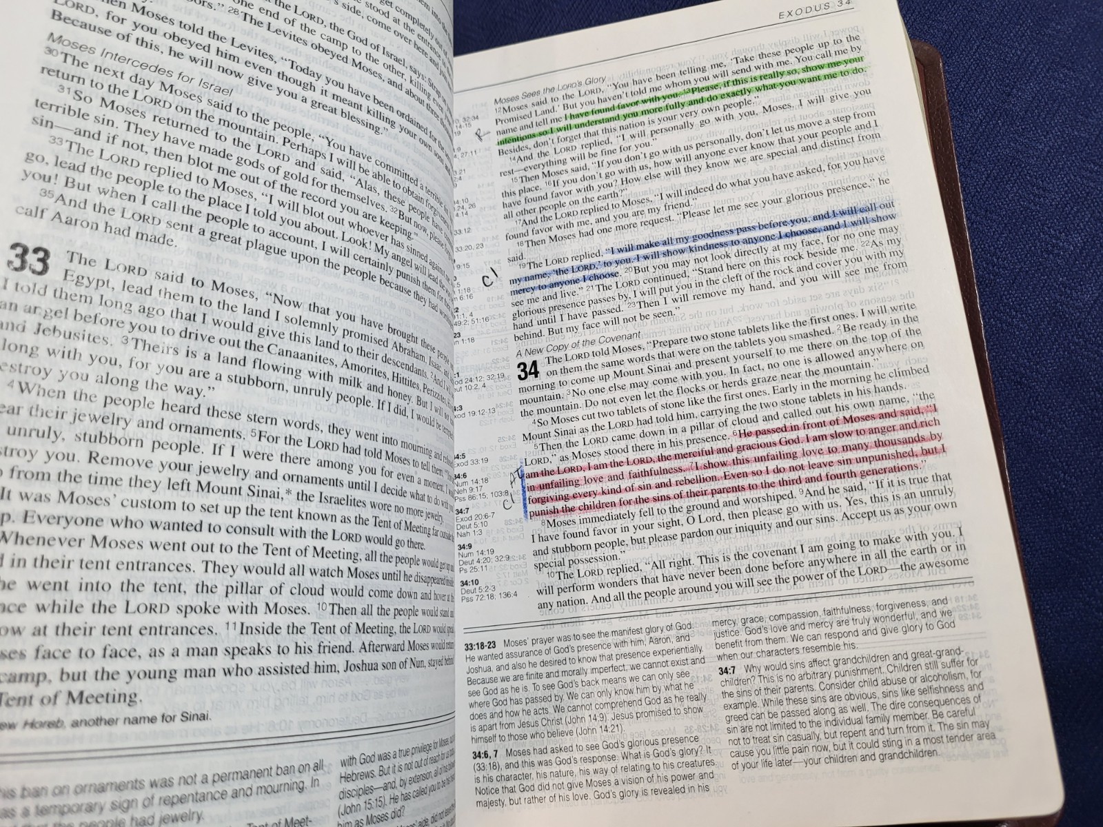 Holy Bible New Living Translation Tyndale Award NLT – Highlighted