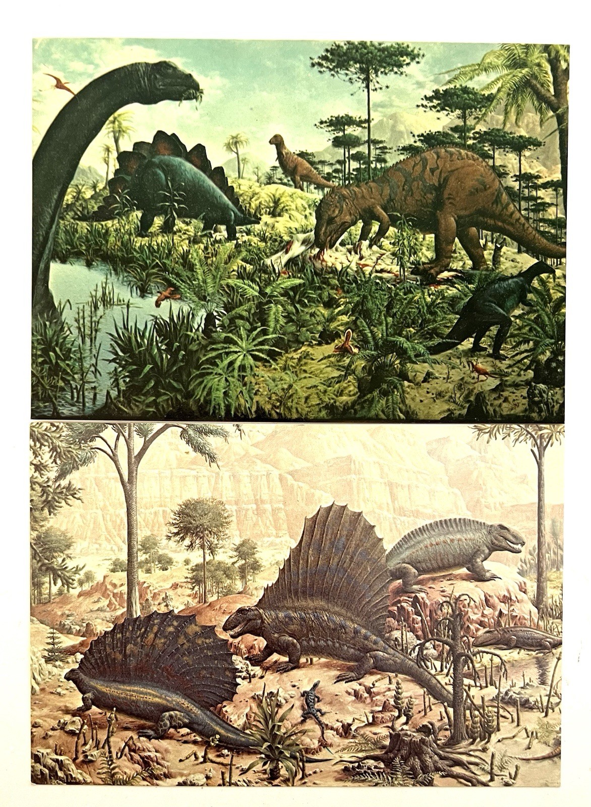 Vintage Dinosaur Kids Book Bundle ~ Dinosaurs National Geographic Illustrated