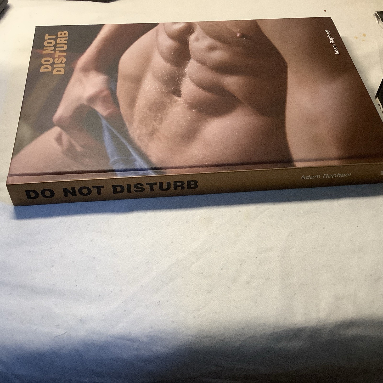 Do Not Disturb By Adam Raphael Gay Interest Erotic Book