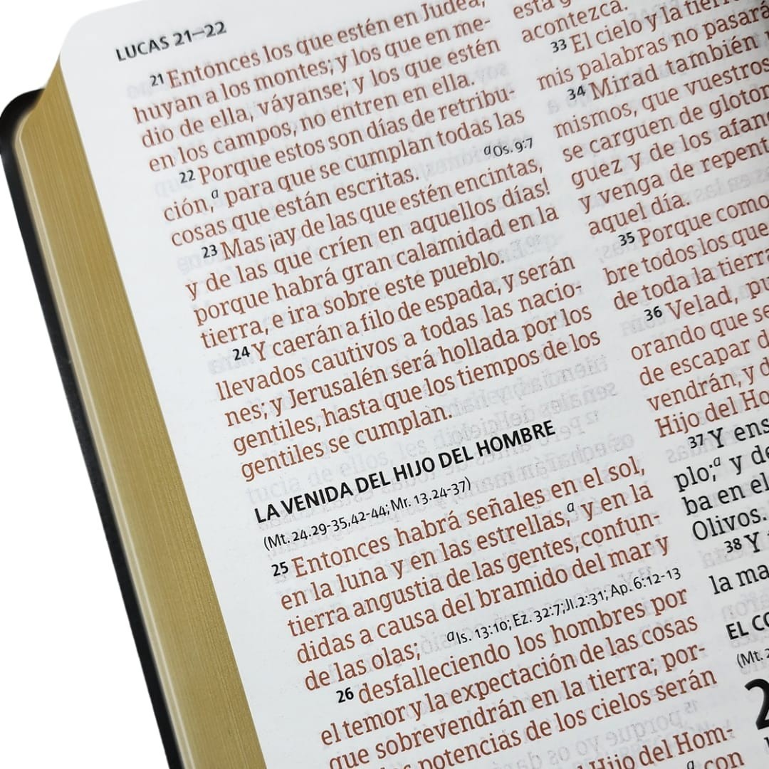 Biblia letra grande tamaño manual reina valera 1960 vinyl letra 12 puntos