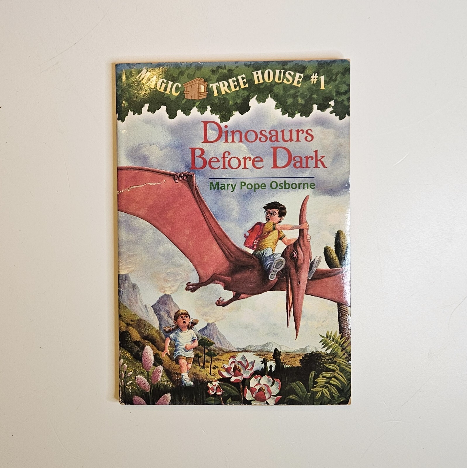 Lot 9 Magic Tree House Books #1 #6 #12 #13 #34 Research Guide Merlin Missions