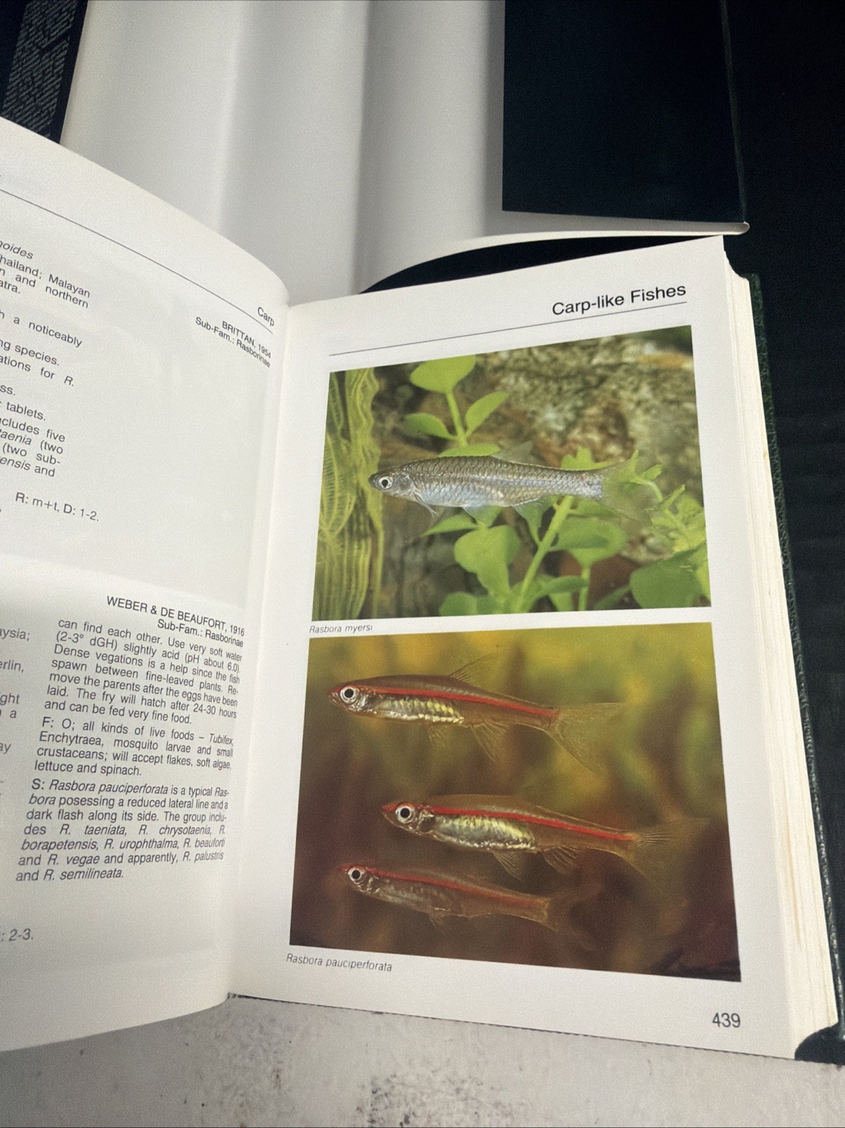 Baensch Aquarium Atlas Volume 1 Hardback