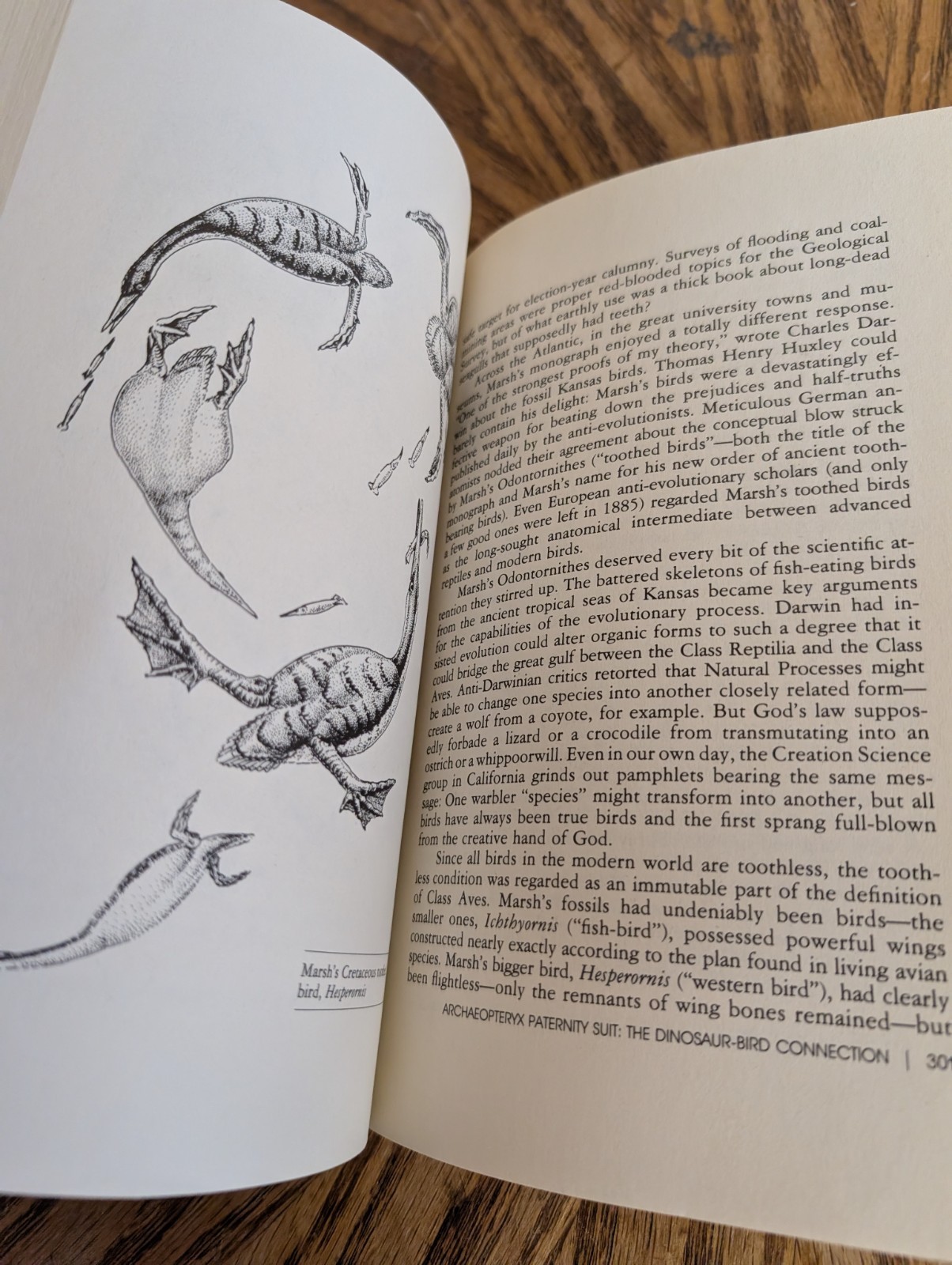 Dinosaur Heresies Book Robert T Bakker Ph.D. 1986 VTG HC DJ Theories Extinction